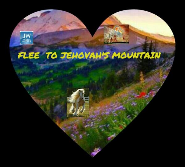 post-2322-0-23641300-1402929079_thumb.jp