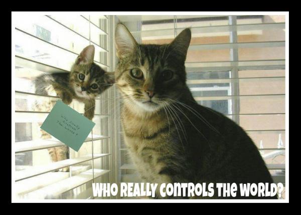 post-2322-0-27274600-1403919670_thumb.jp