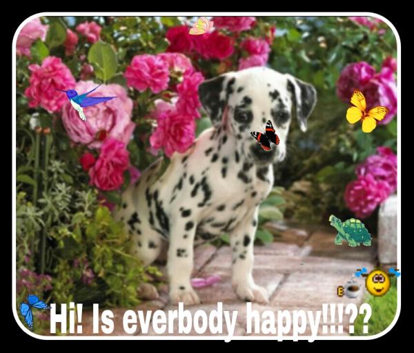 post-2322-0-27920600-1402521461_thumb.jp