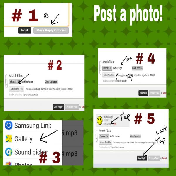 post-2322-0-28595200-1402981779_thumb.jp