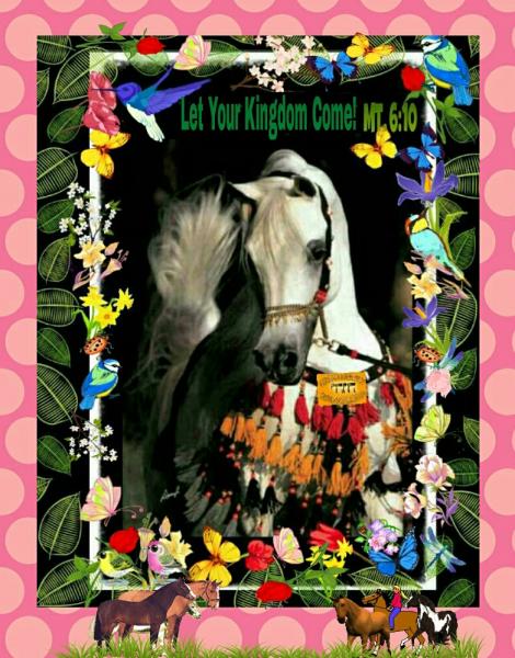 post-2322-0-61350400-1403017586_thumb.jp