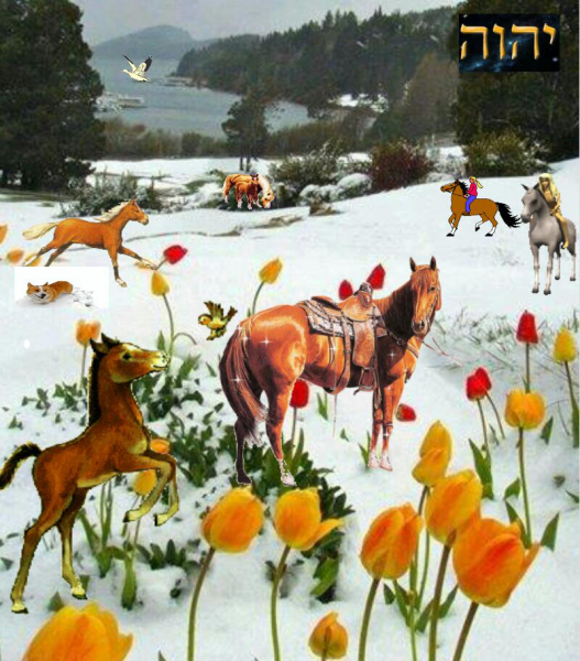 post-2322-0-66148900-1403008233_thumb.pn