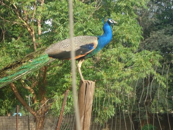 post-2832-0-45787400-1404133770_thumb.jp