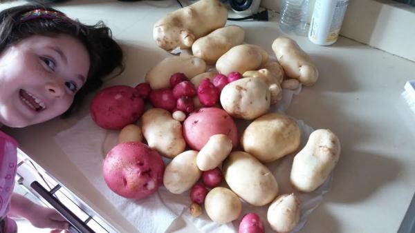 post-1083-0-17112600-1435617002_thumb.jp