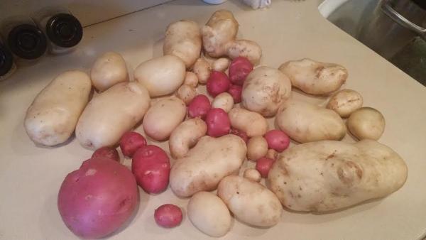 post-1083-0-37949700-1435634661_thumb.jp