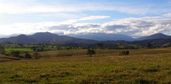 post-4283-0-40616600-1434596193_thumb.jp