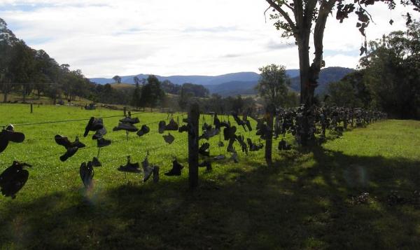 post-4283-0-40940200-1434595460_thumb.jp