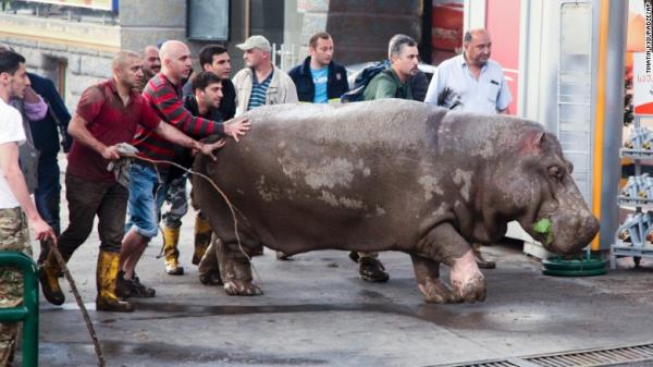 post-5044-0-75391200-1434376120_thumb.jp