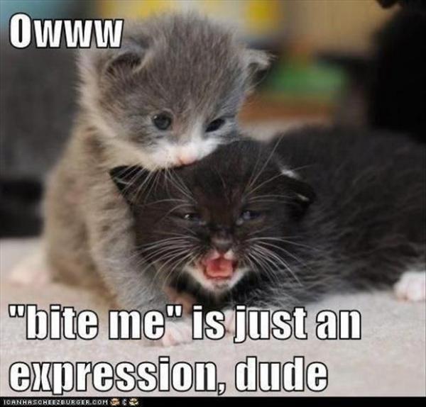 post-5252-0-05139600-1433536126_thumb.jp