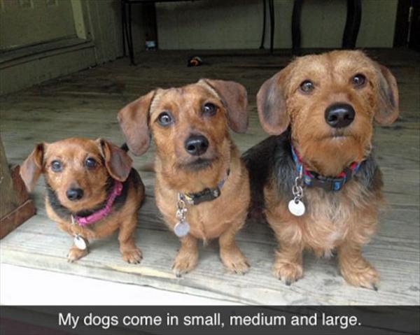 post-5252-0-09650900-1433536128_thumb.jp