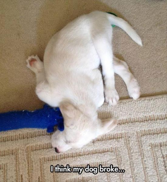 post-5252-0-12355800-1433536237_thumb.jp