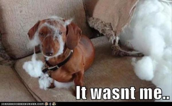 post-5252-0-21717100-1433516413_thumb.jp