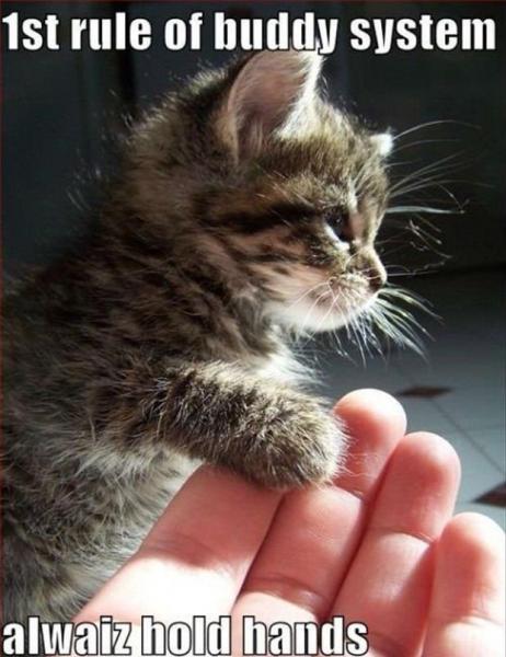 post-5252-0-81778400-1433536094_thumb.jp