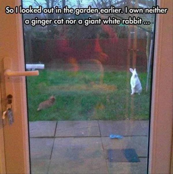 post-5252-0-98657200-1433516671_thumb.jp