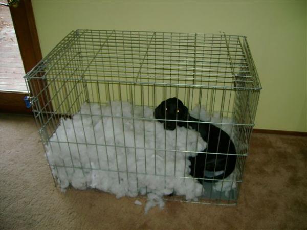 post-5984-0-22704700-1434911220_thumb.jp