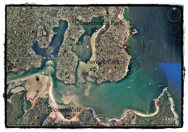 post-1015-0-79666000-1374625189_thumb.jp