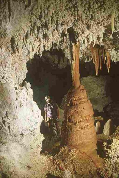 post-2173-0-46443900-1374438587_thumb.jp