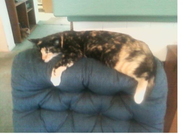 post-2275-0-45064500-1375197651_thumb.jp