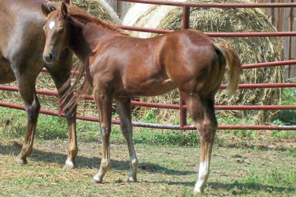 post-2310-0-68652500-1374069046_thumb.jp