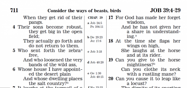 post-3233-0-02300100-1374402075_thumb.pn