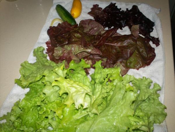 post-1083-0-53651600-1404688333_thumb.jp