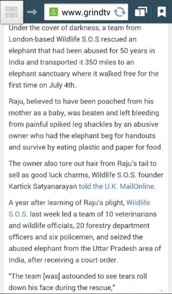 post-2322-0-12746100-1404881288_thumb.jp