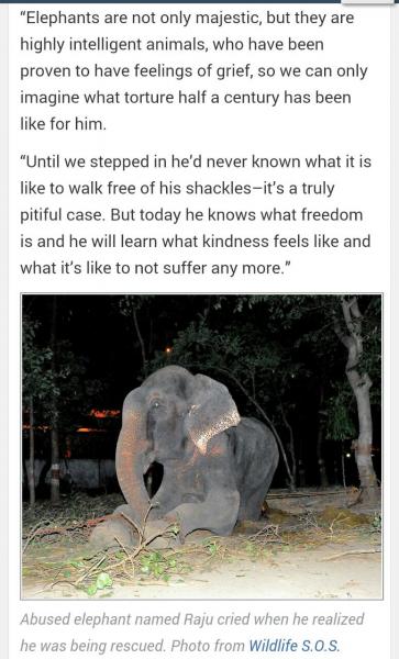 post-2322-0-36192700-1404881336_thumb.jp