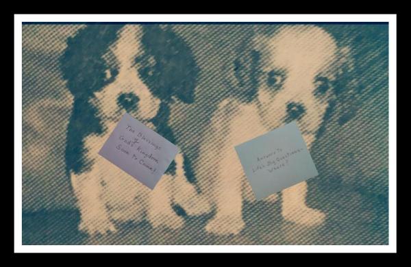 post-2322-0-41241800-1406134151_thumb.jp