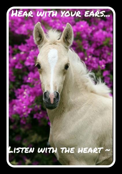 post-2322-0-84063900-1404694091_thumb.jp