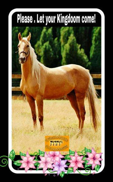 post-2322-0-85558300-1405445138_thumb.jp