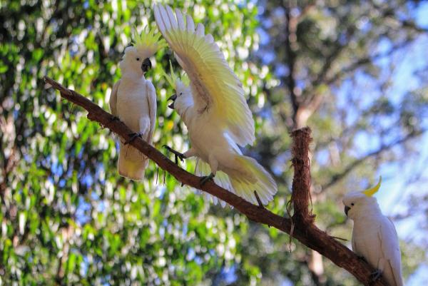 post-4085-0-05405300-1404372932_thumb.jp