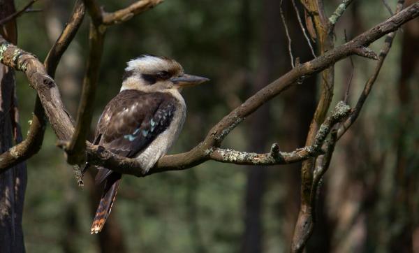 post-4085-0-28949700-1404621019_thumb.jp