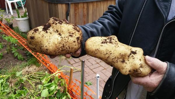 post-1083-0-97808700-1436311072_thumb.jp