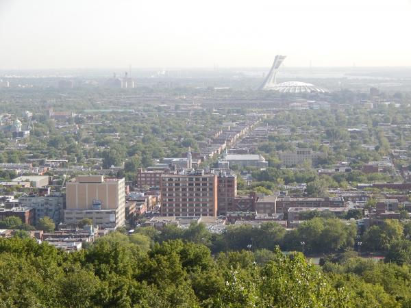 post-1993-0-52816900-1437836180_thumb.jp