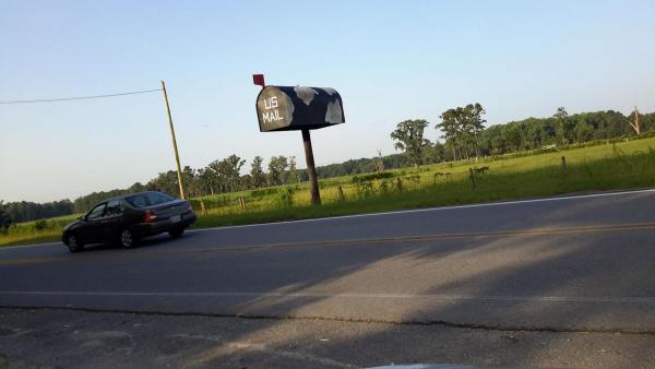 post-2173-0-79604300-1436668778_thumb.jp