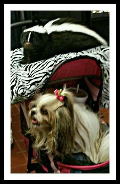 post-2322-0-87111000-1437874662_thumb.jp