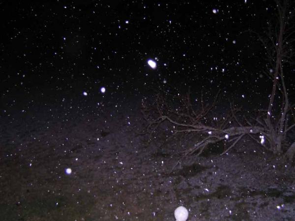 post-4283-0-12587200-1437458332_thumb.jp