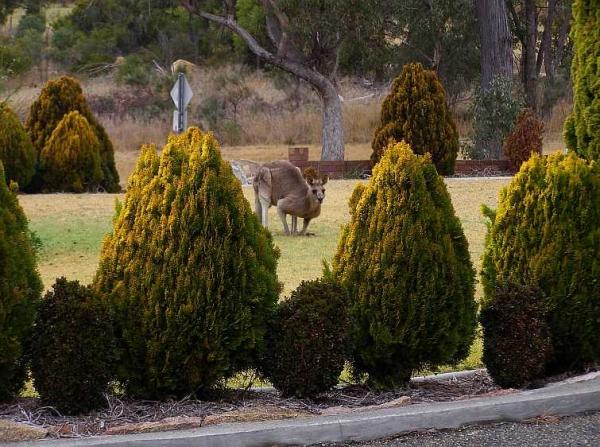 post-4283-0-16980700-1437736279_thumb.jp