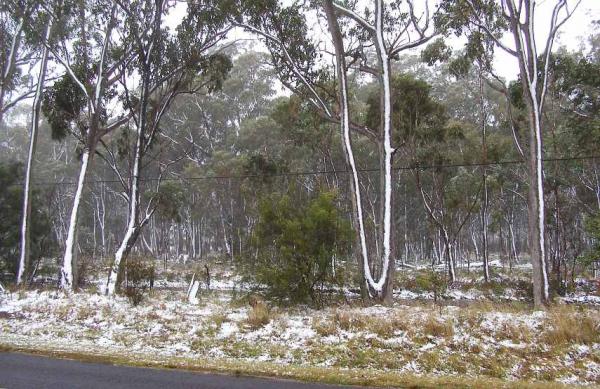 post-4283-0-39425800-1437458712_thumb.jp