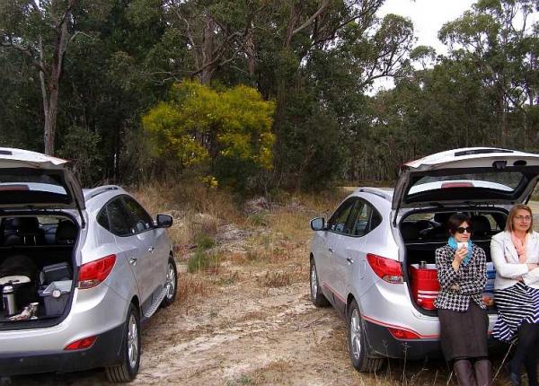 post-4283-0-46182100-1437736342_thumb.jp