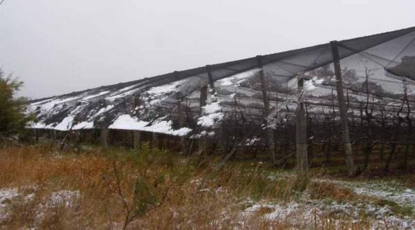 post-4283-0-47760500-1437458624_thumb.jp