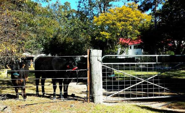 post-4283-0-50308300-1438338556_thumb.jp