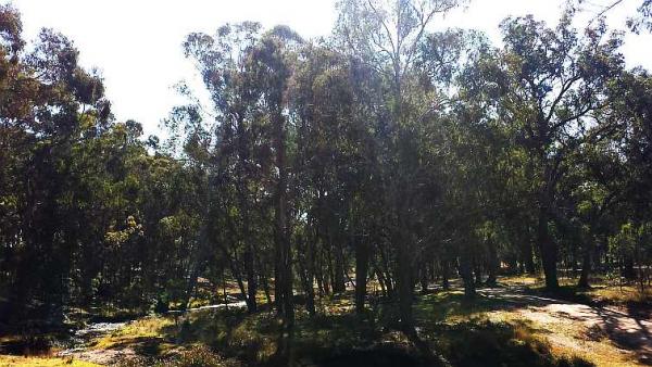 post-4283-0-62571100-1438338526_thumb.jp