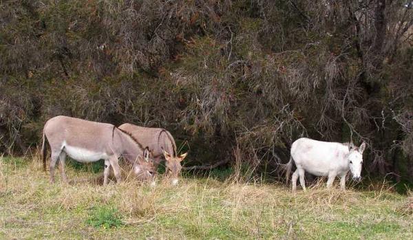 post-4283-0-83602400-1435747274_thumb.jp