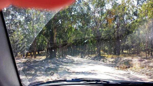 post-4283-0-91105200-1438338514_thumb.jp