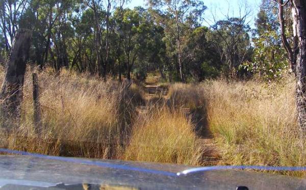 post-4283-0-92372400-1435747193_thumb.jp