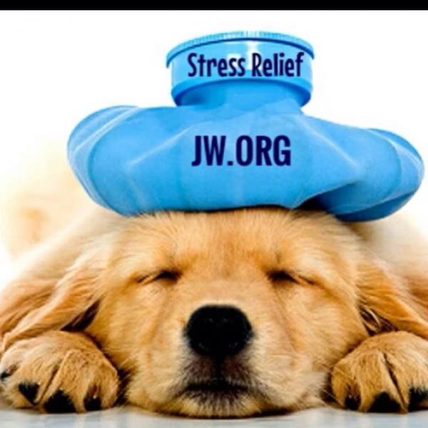 post-5246-0-10941300-1437778236_thumb.jp