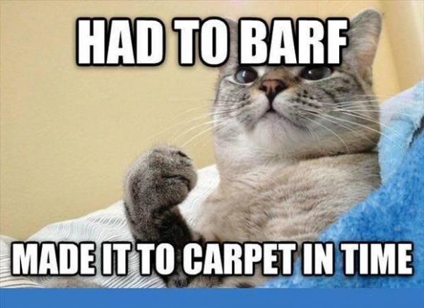 post-5984-0-41415000-1437619631_thumb.jp