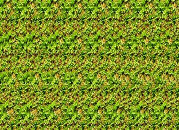 post-5984-0-42996900-1435887217_thumb.jp