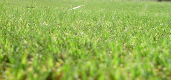 post-5984-0-49024400-1437414933_thumb.jp